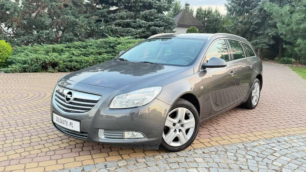 Zdjęcie: 2010 Opel Insignia