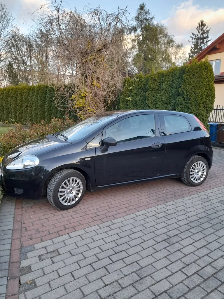 Zdjęcie: 2010 Fiat Punto