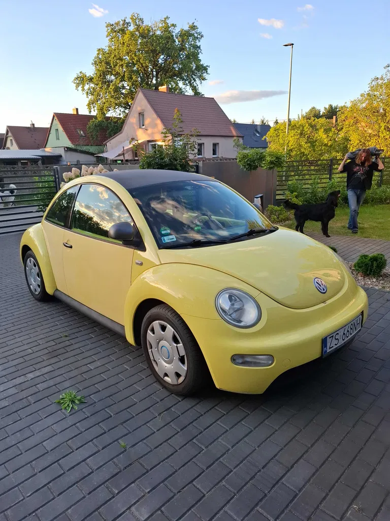 Zdjęcie: 1999 Volkswagen New Beetle