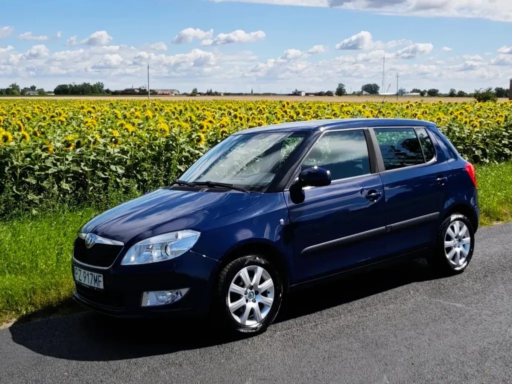 Zdjęcie: 2011 Skoda Fabia