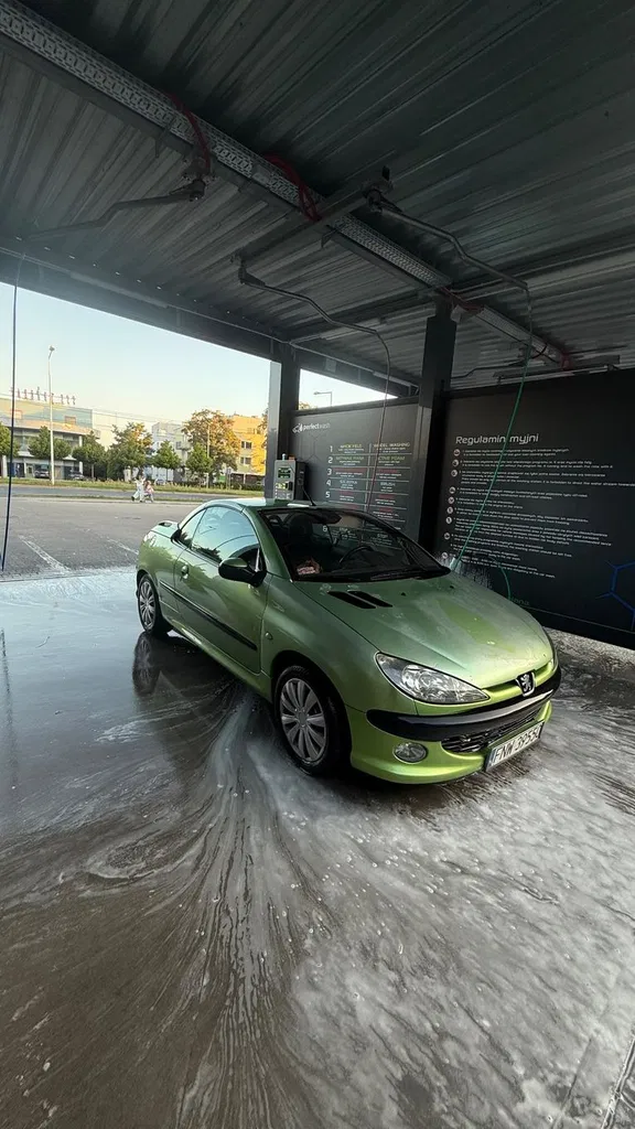 Zdjęcie: 2002 Peugeot 206 CC