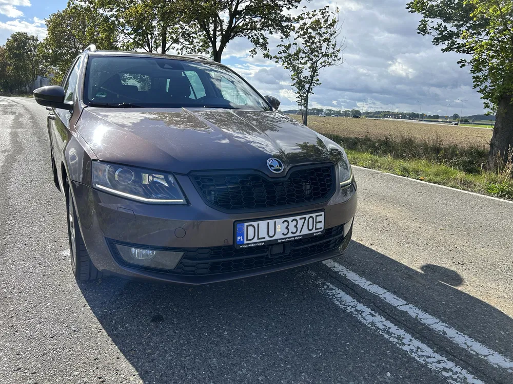 Zdjęcie: 2014 Skoda Octavia