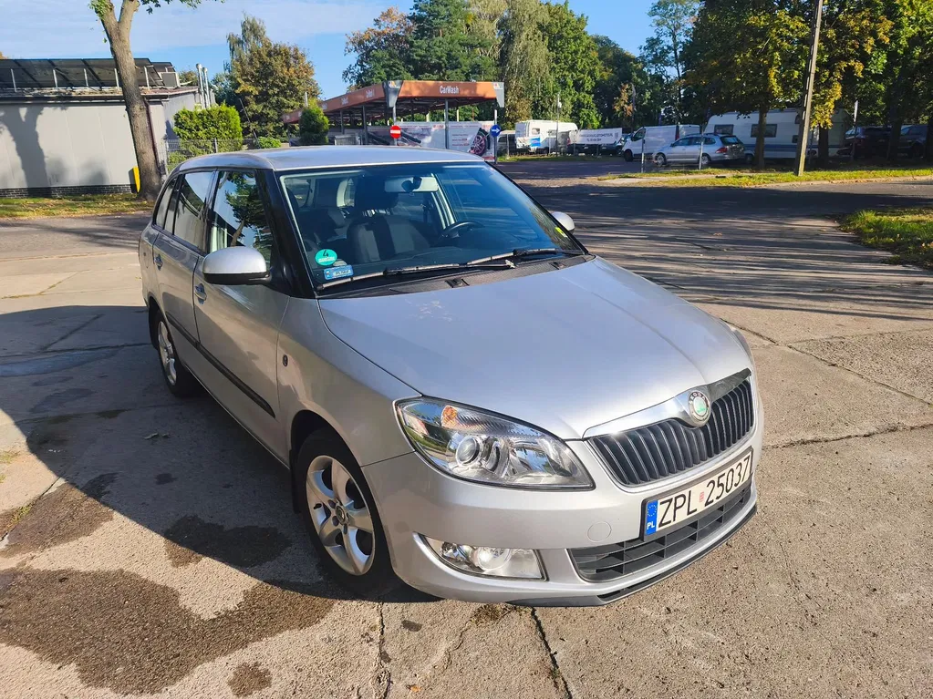 Zdjęcie: 2010 Skoda Fabia