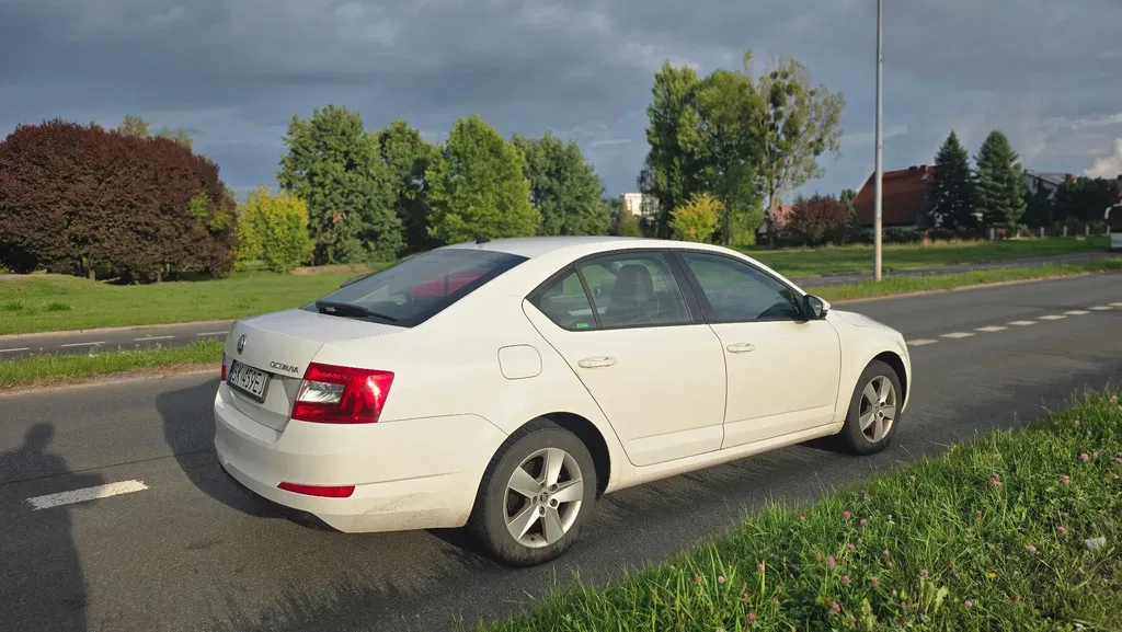 Zdjęcie: 2013 Skoda Octavia