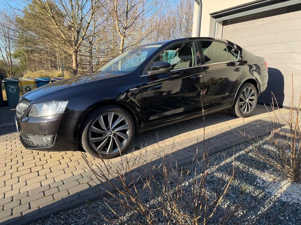 Zdjęcie: 2015 Skoda Octavia