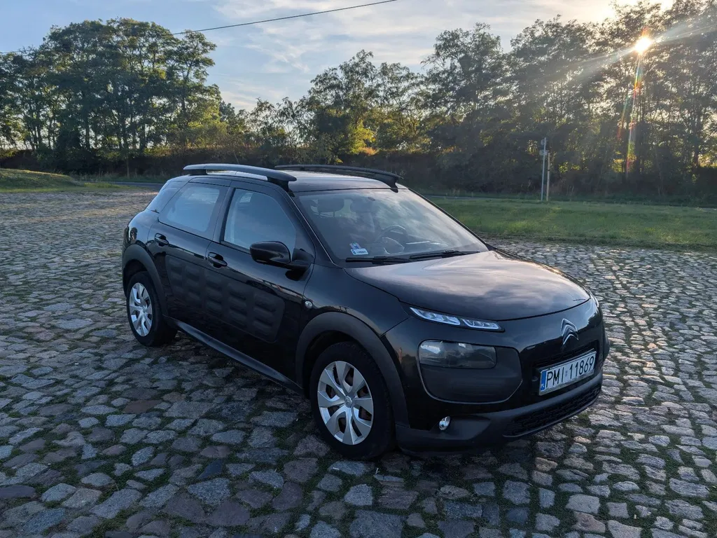 Zdjęcie: 2015 Citroen C4 Cactus