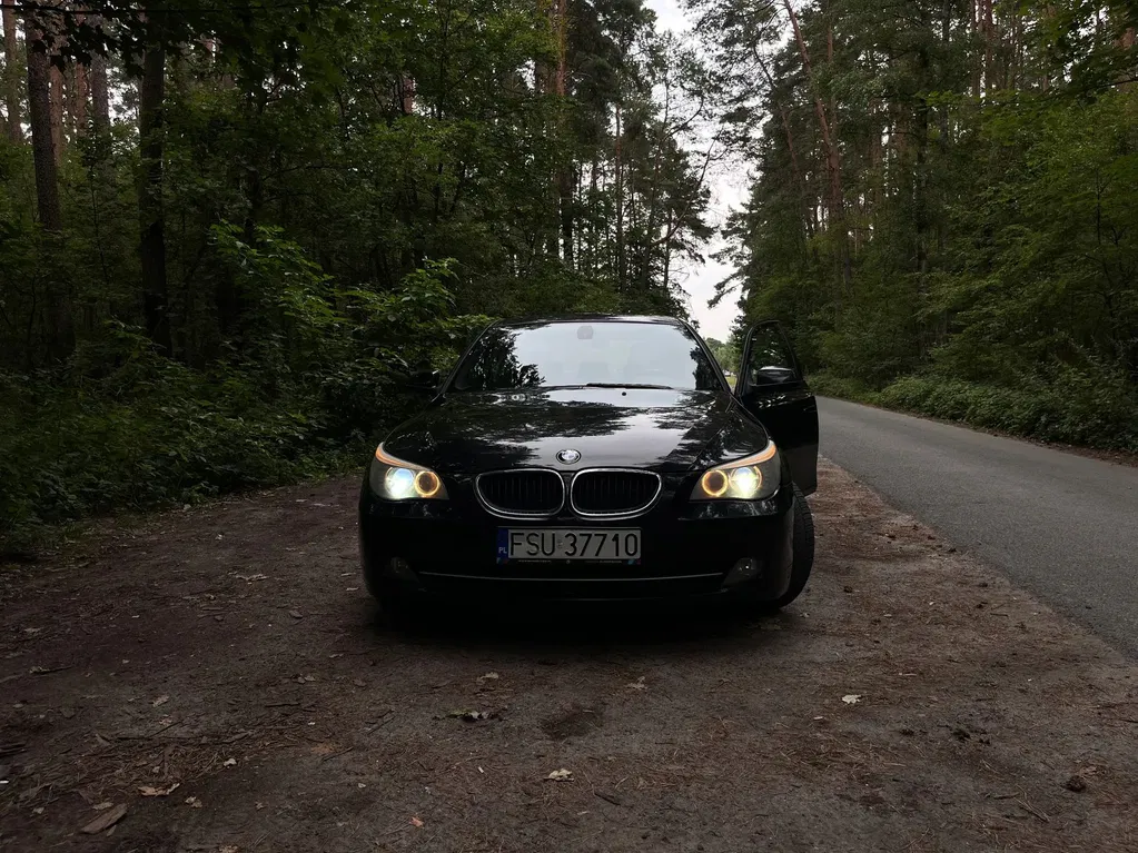 Zdjęcie: 2010 BMW Seria 5
