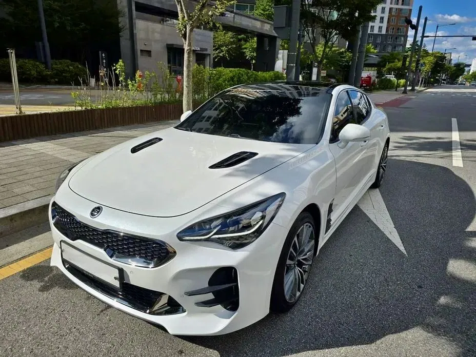 Zdjęcie: 2018 Kia Stinger