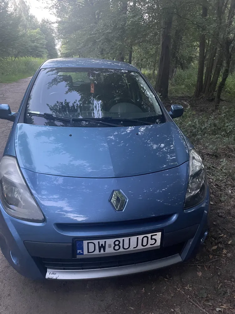 Zdjęcie: 2010 Renault Clio
