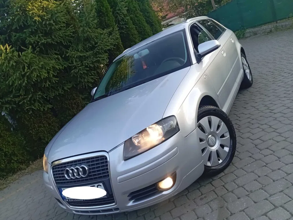 Zdjęcie: 2007 Audi A3