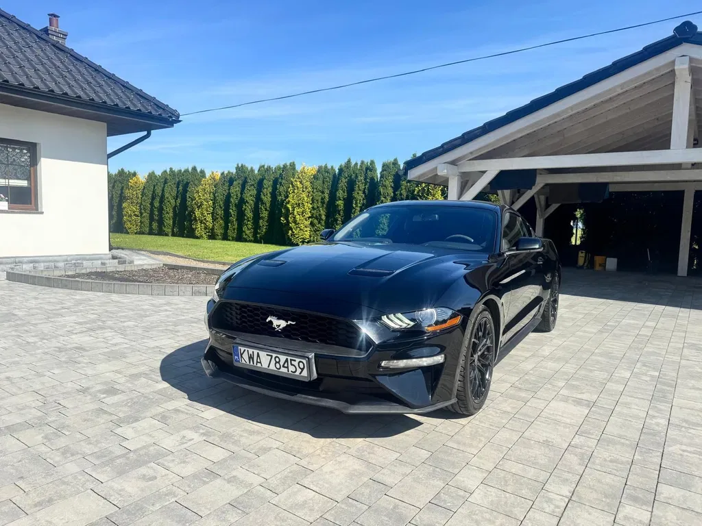 Zdjęcie: 2019 Ford Mustang