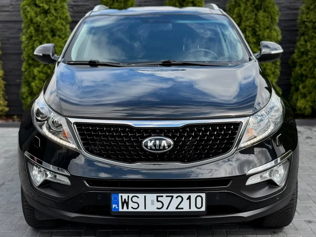 Zdjęcie: 2014 Kia Sportage