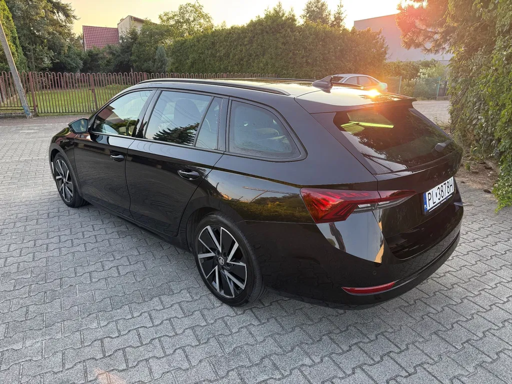 Zdjęcie: 2021 Skoda Octavia