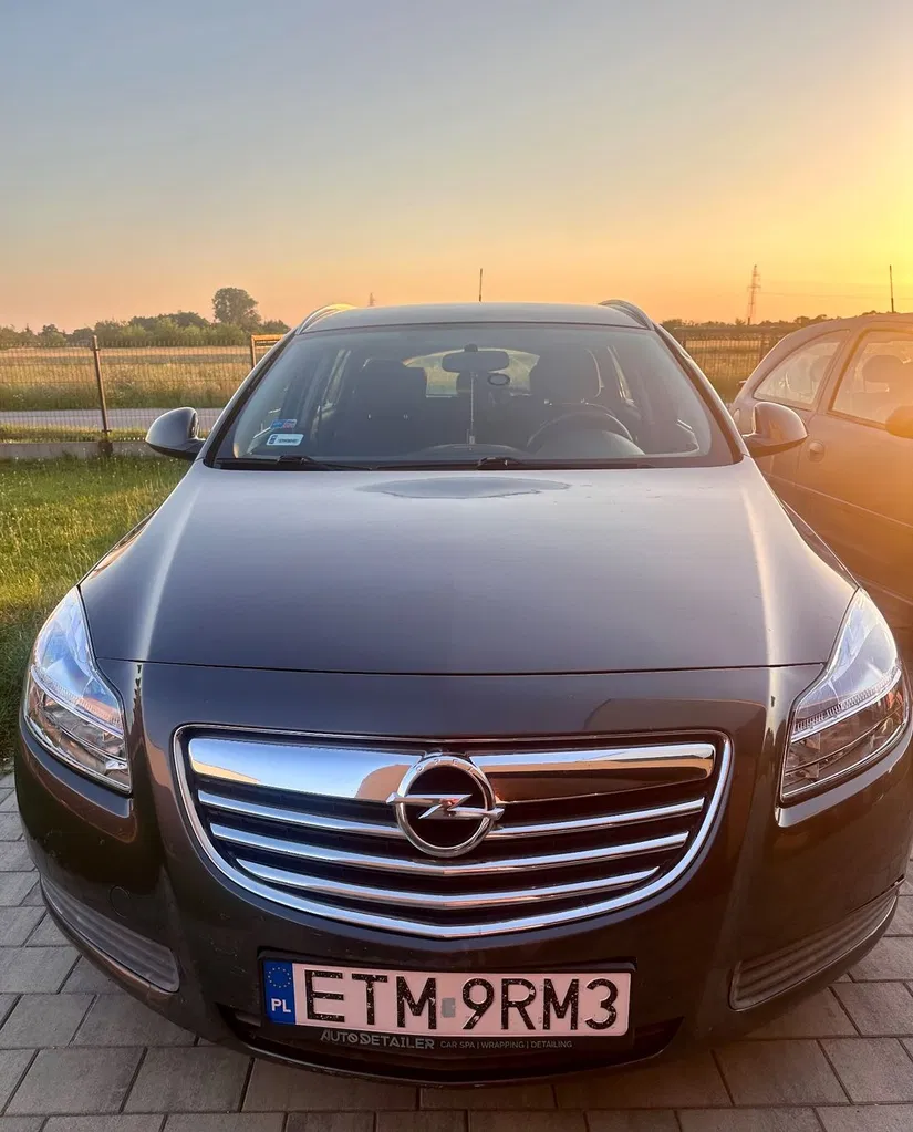 Zdjęcie: 2010 Opel Insignia