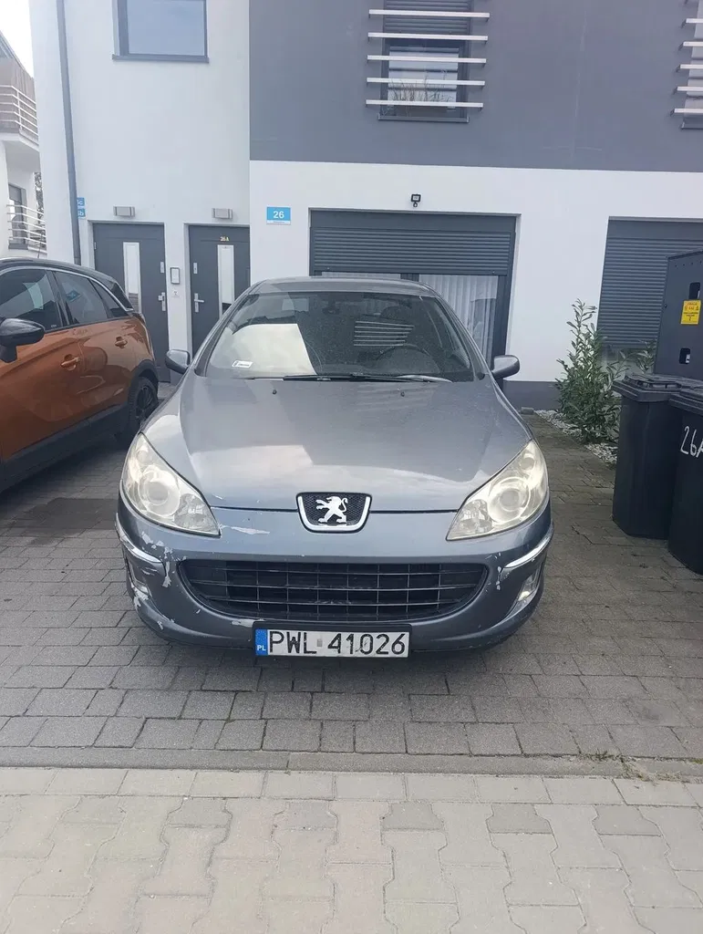 Zdjęcie: 2004 Peugeot 407
