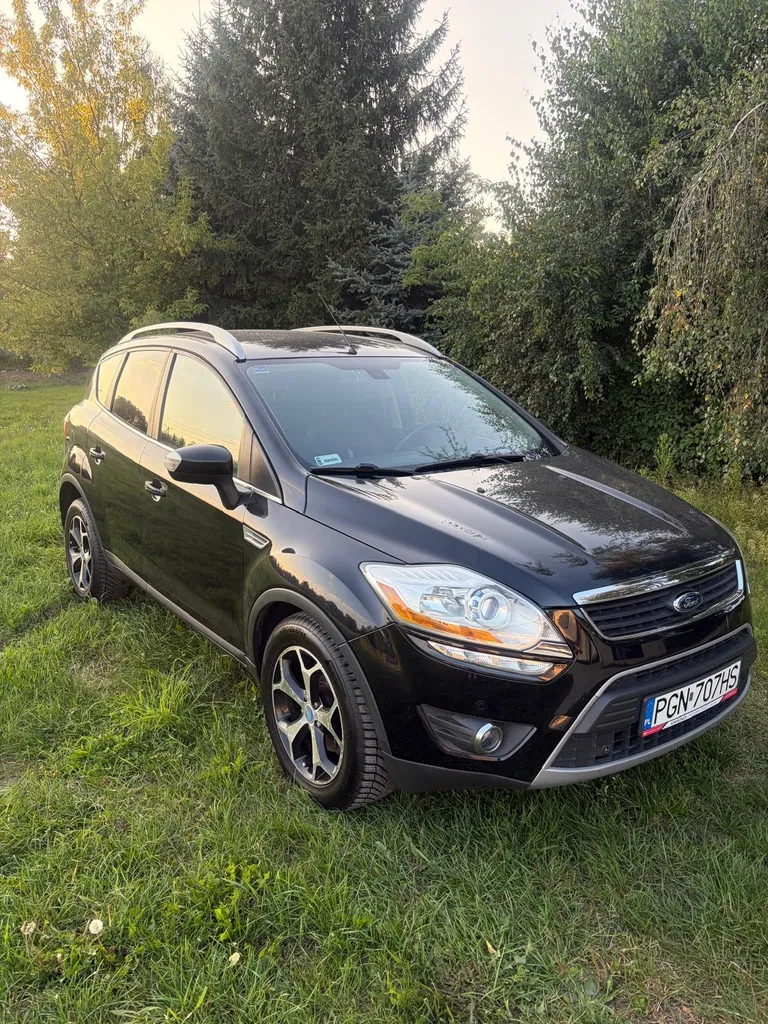 Zdjęcie: 2010 Ford Kuga