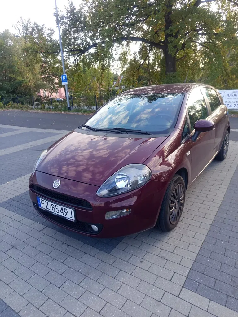 Zdjęcie: 2012 Fiat Punto