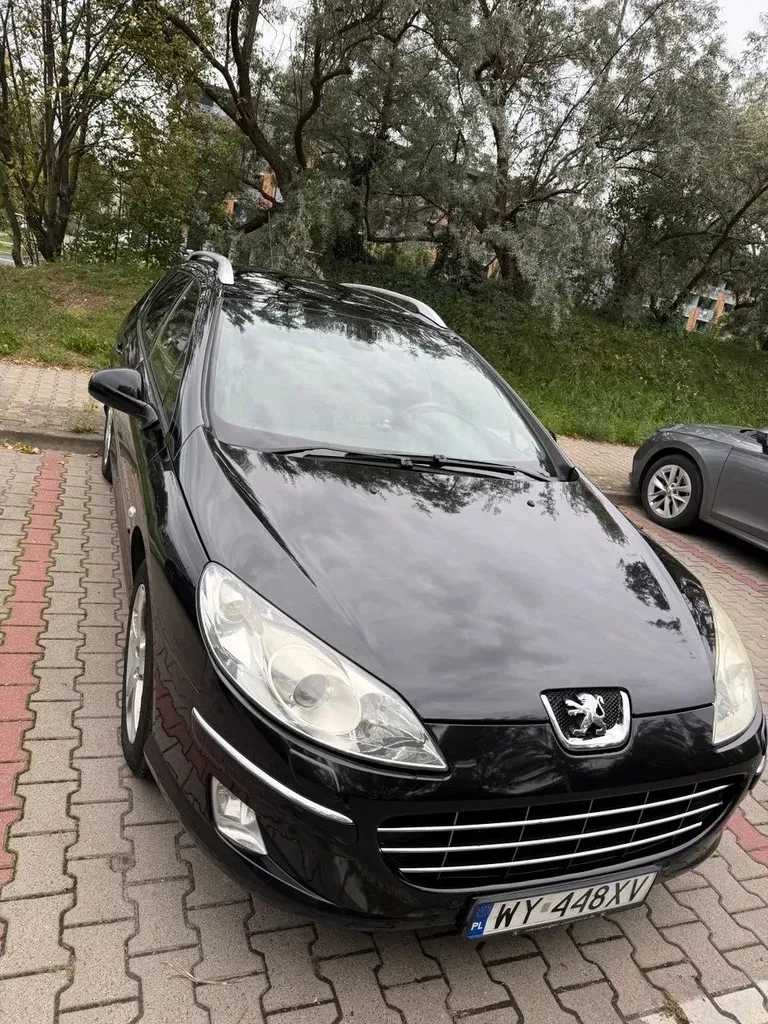 Zdjęcie: 2009 Peugeot 407