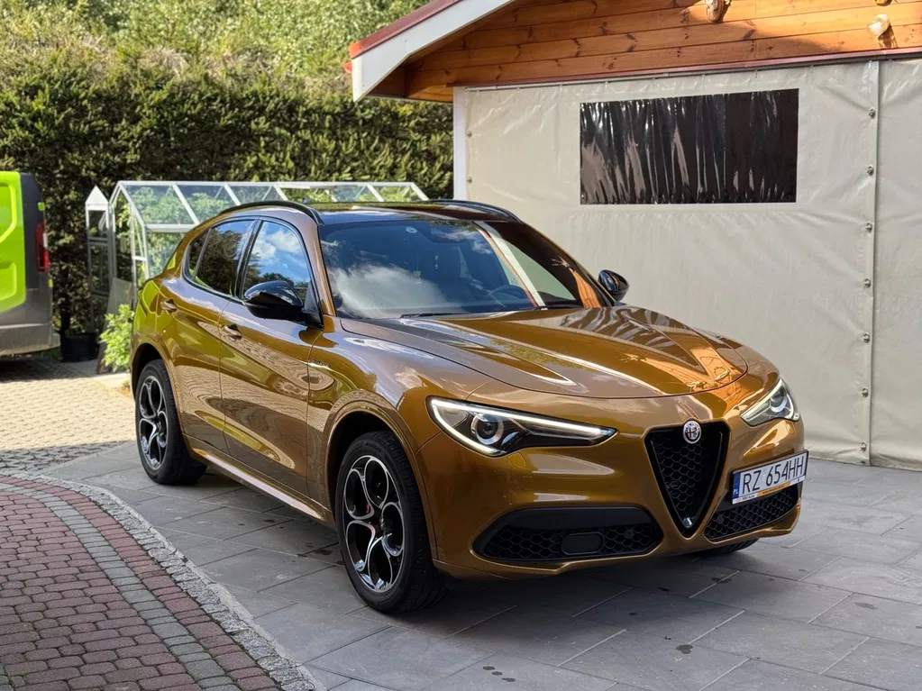 Zdjęcie: 2023 Alfa Romeo Stelvio