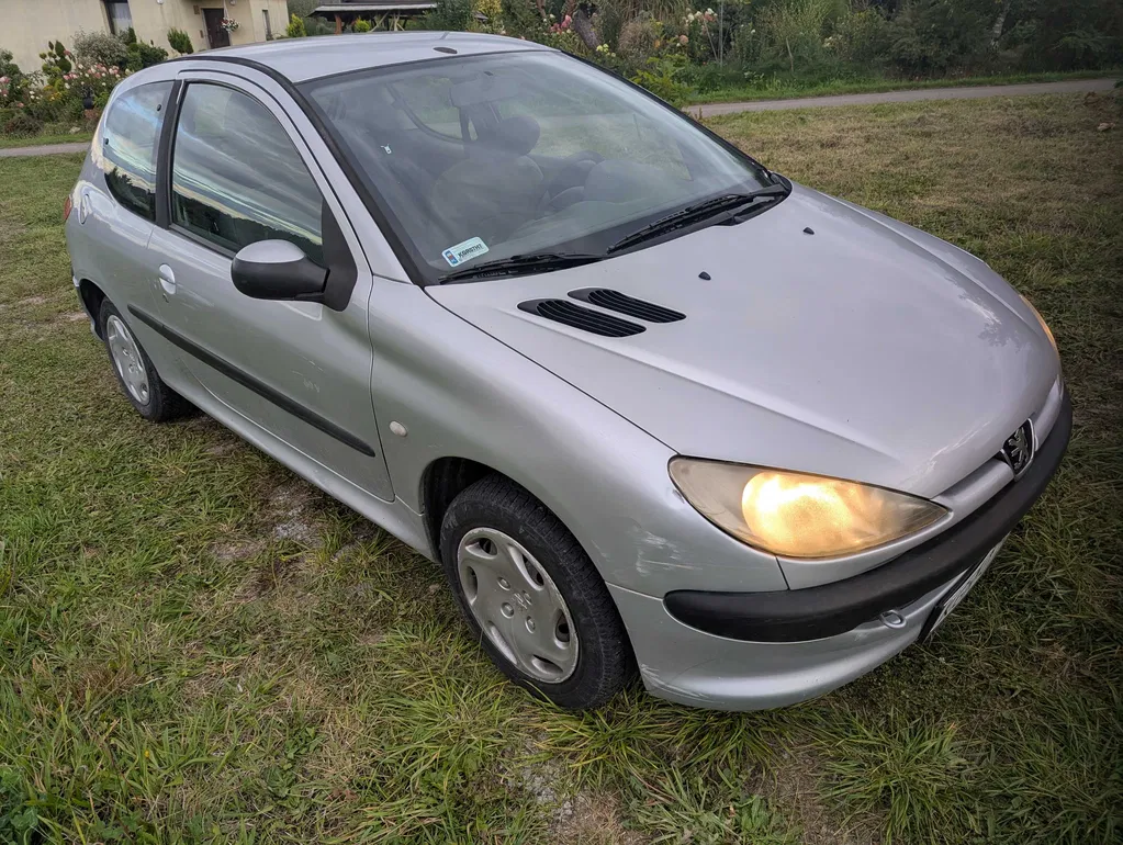 Zdjęcie: 2004 Peugeot 206