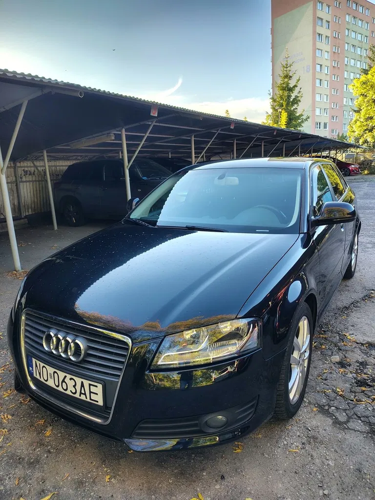 Zdjęcie: 2009 Audi A3 Sportback