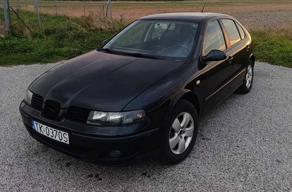 Zdjęcie: 2004 Seat Leon