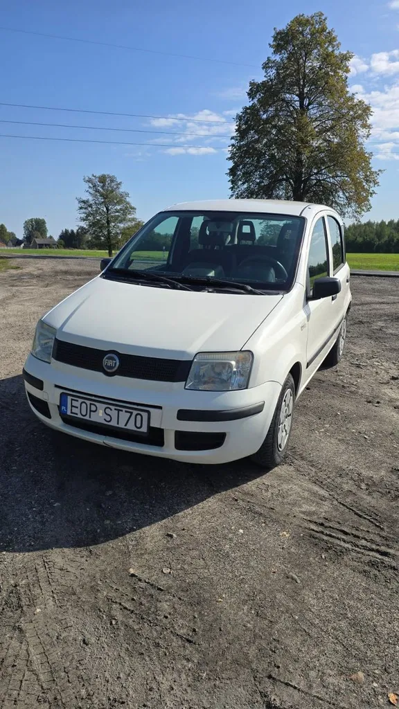 Zdjęcie: 2009 Fiat Panda