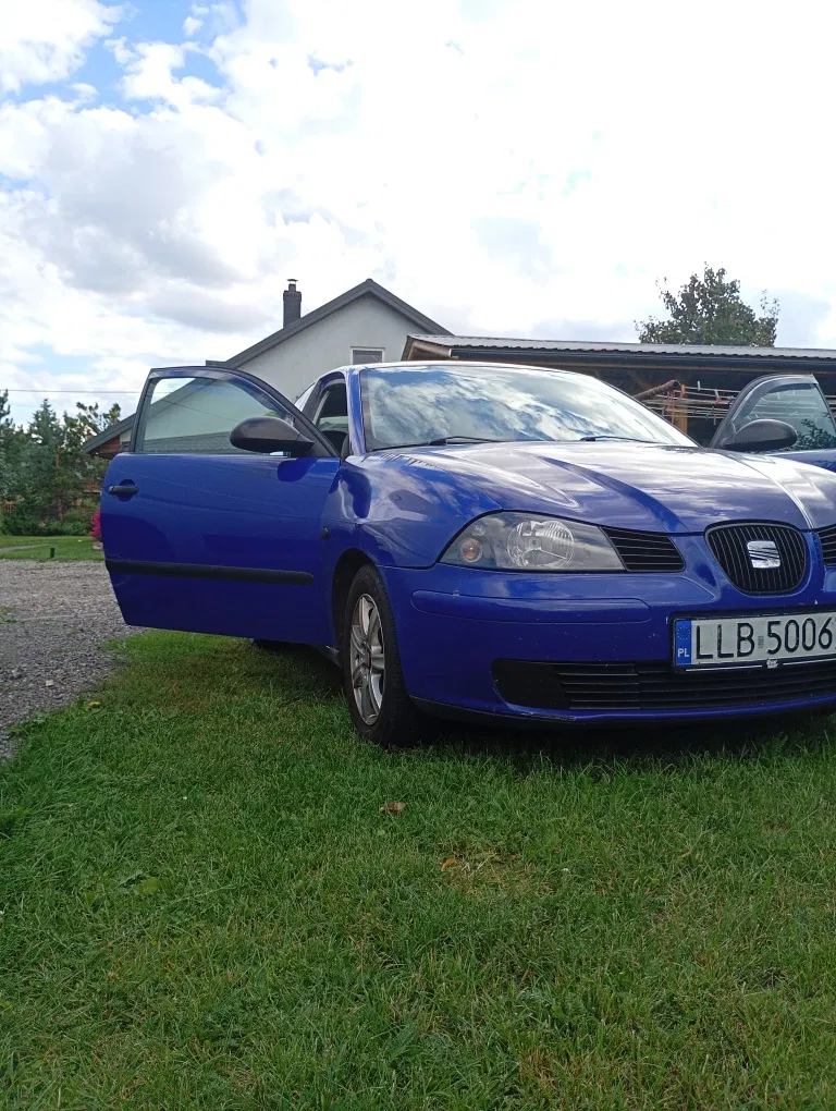 Zdjęcie: 2003 Seat Ibiza