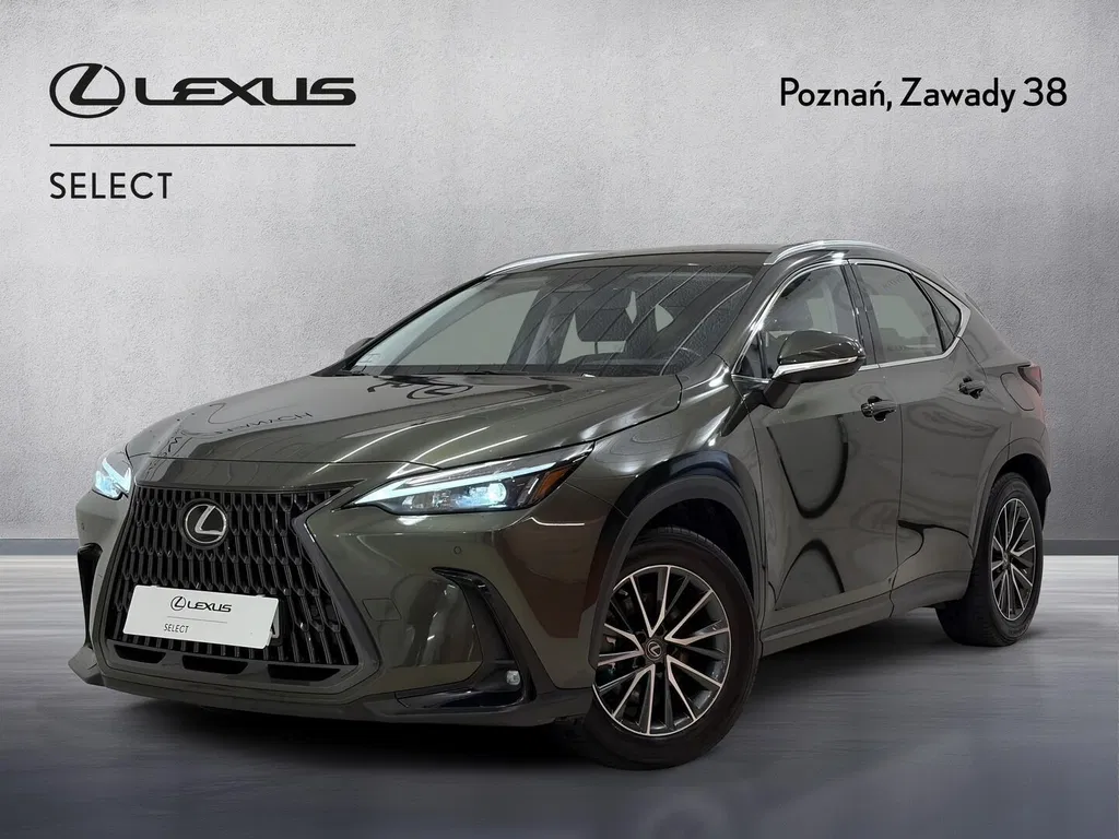 Zdjęcie: 2022 Lexus NX