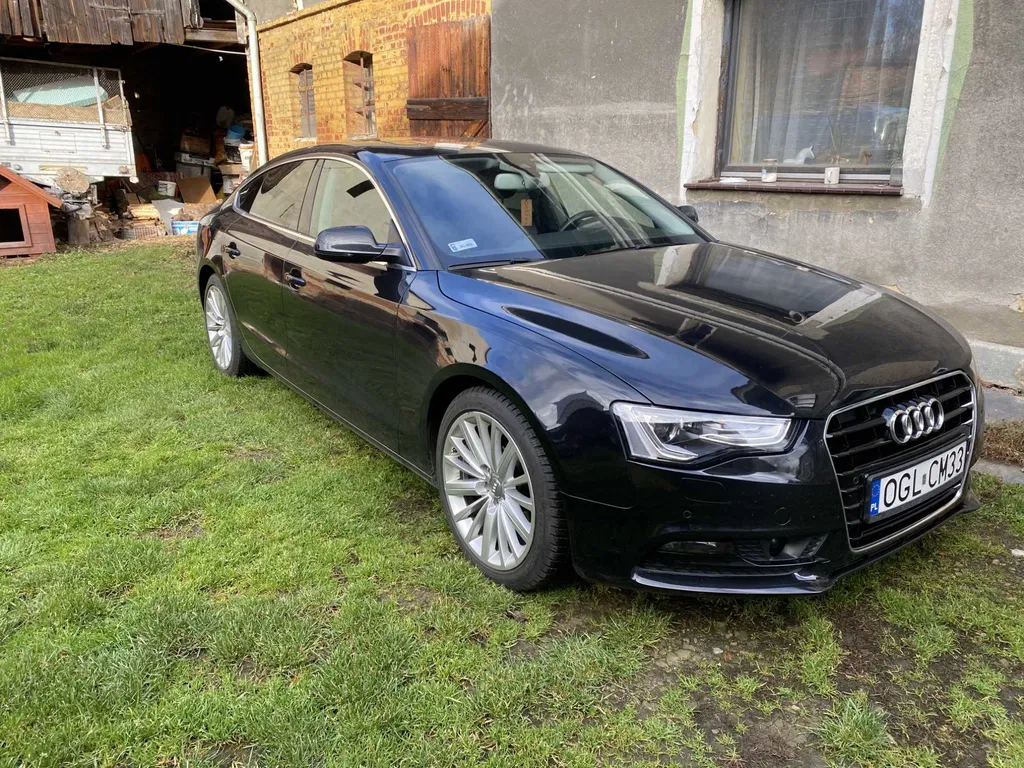 Zdjęcie: 2013 Audi A5 Sportback