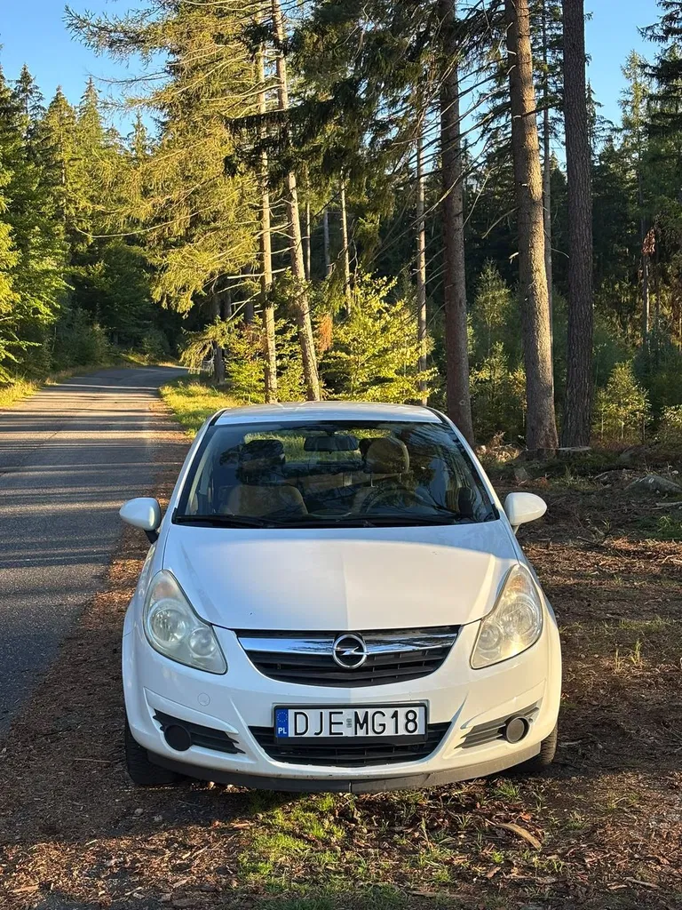 Zdjęcie: 2007 Opel Corsa