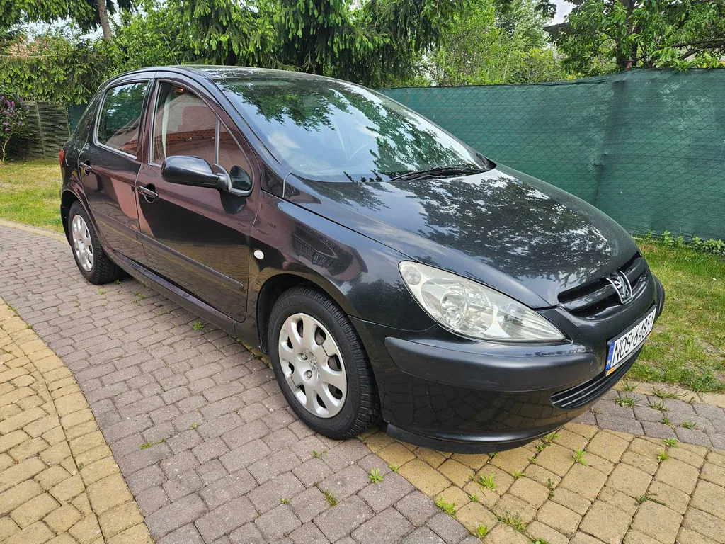 Zdjęcie: 2004 Peugeot 307