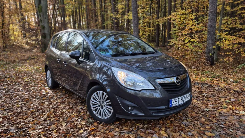 Zdjęcie: 2013 Opel Meriva