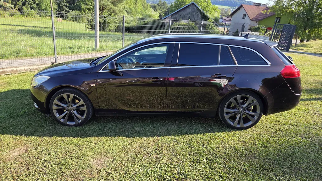 Zdjęcie: 2010 Opel Insignia
