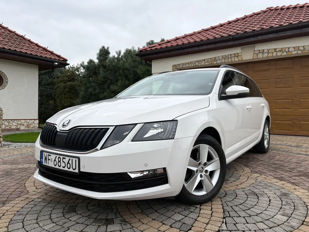 Zdjęcie: 2019 Skoda Octavia
