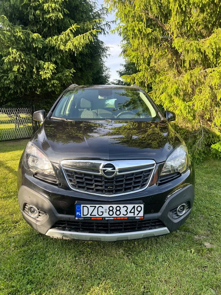 Zdjęcie: 2016 Opel Mokka