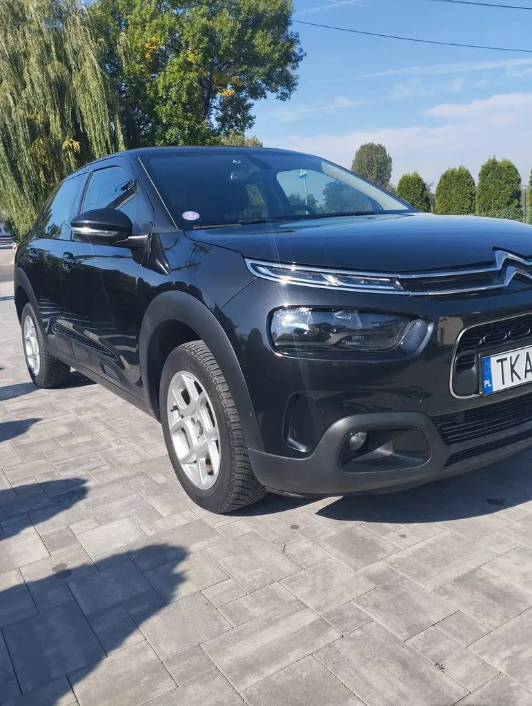 Zdjęcie: 2018 Citroen C4 Cactus