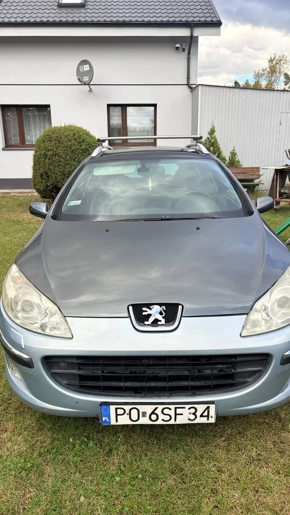 Zdjęcie: 2006 Peugeot 407