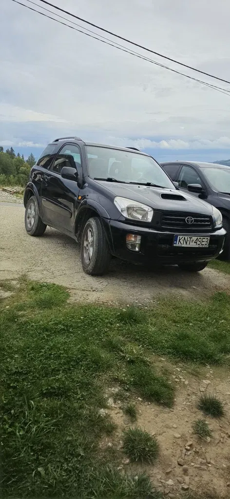 Zdjęcie: 2003 Toyota RAV-4