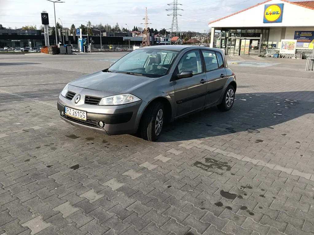 Zdjęcie: 2004 Renault Megane