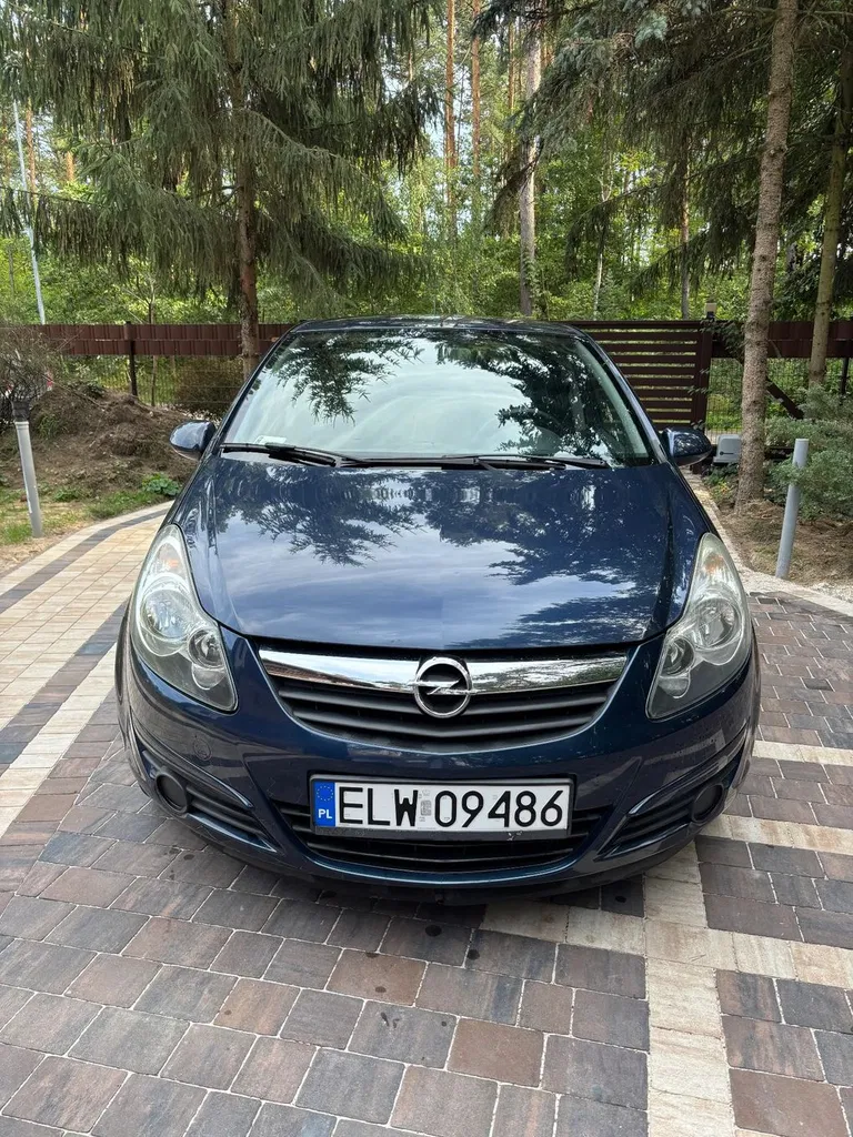 Zdjęcie: 2010 Opel Corsa