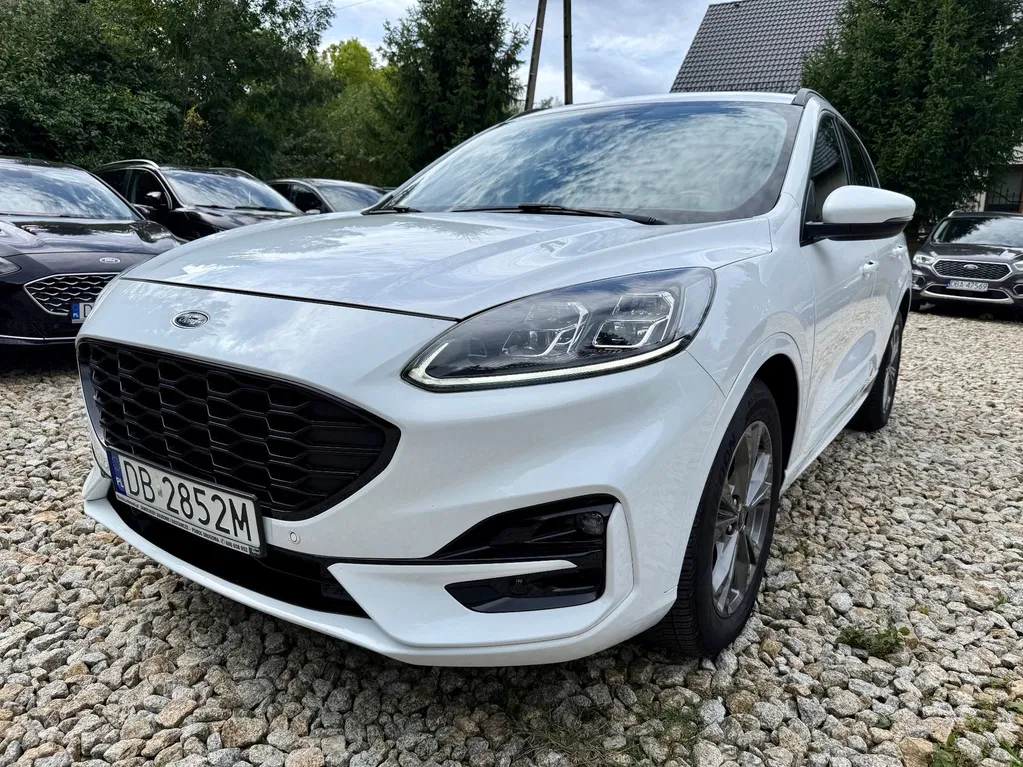 Zdjęcie: 2020 Ford Kuga