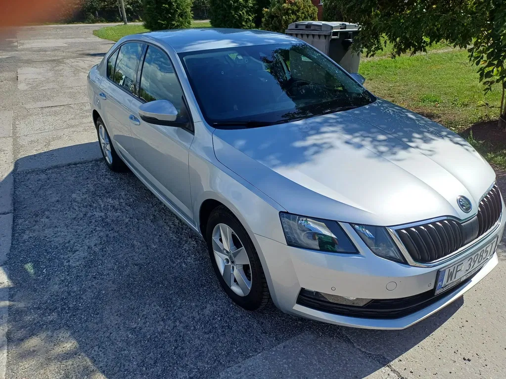 Zdjęcie: 2019 Skoda Octavia