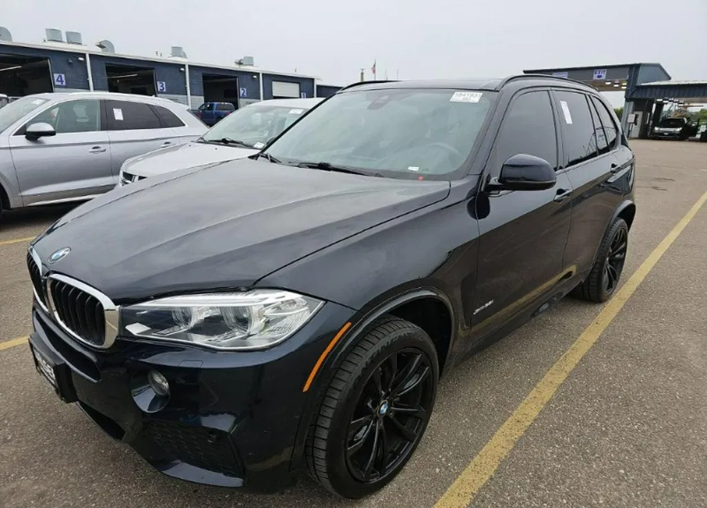 Zdjęcie: 2018 BMW X5