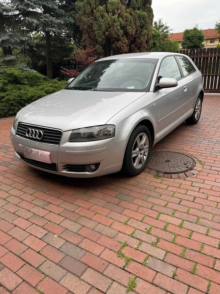 Zdjęcie: 2004 Audi A3 3-drzwiowe