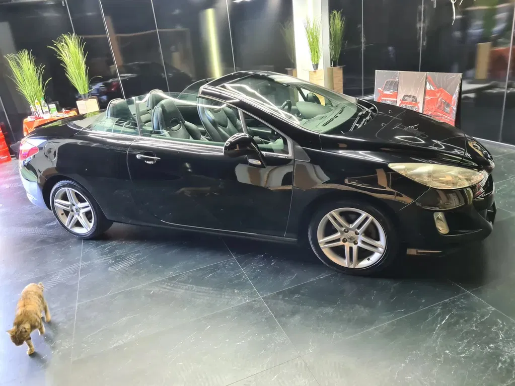 Zdjęcie: 2009 Peugeot 308 CC