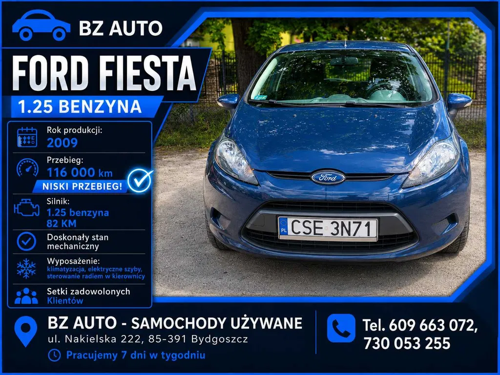 Zdjęcie: 2009 Ford Fiesta