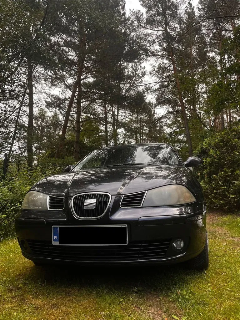 Zdjęcie: 2005 Seat Ibiza