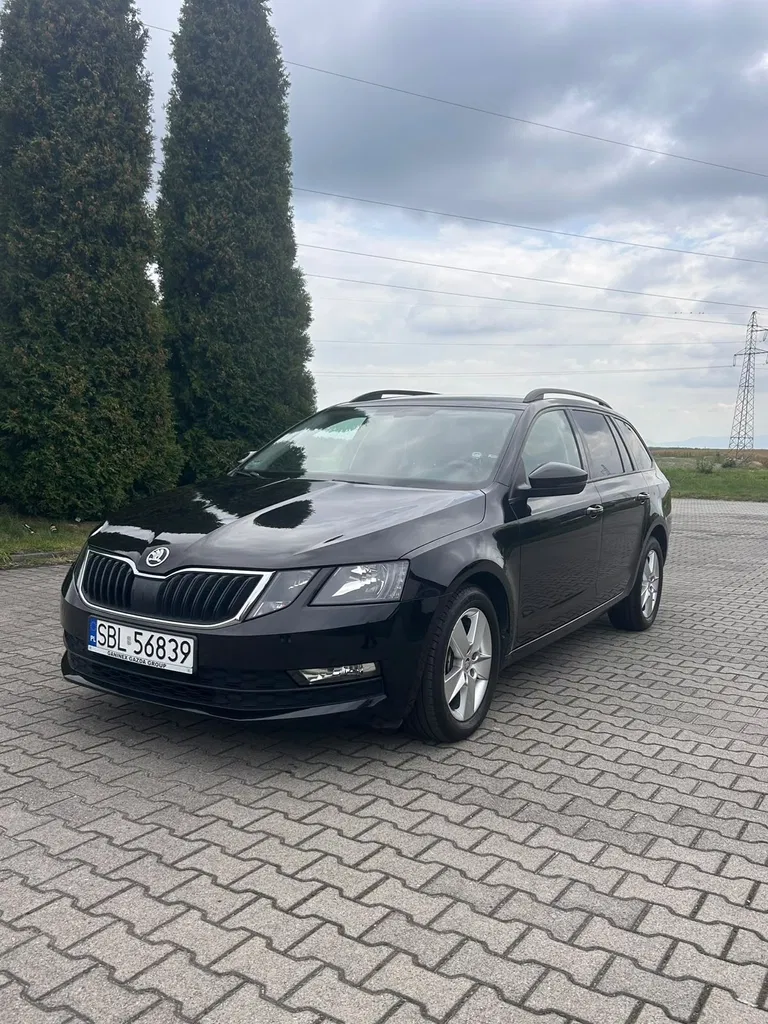Zdjęcie: 2017 Skoda Octavia