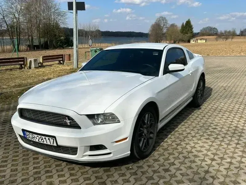 Zdjęcie: 2014 Ford Mustang